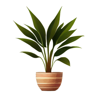 Beautiful plants in ceramic pots . png
