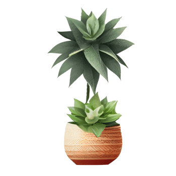 Beautiful plants in ceramic pots . png