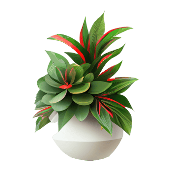 Beautiful plants in ceramic pots . png
