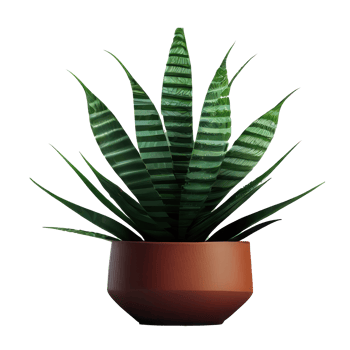 Beautiful plants in ceramic pots . png