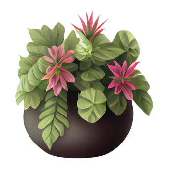 Beautiful plants in ceramic pots . png