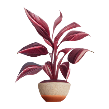 Beautiful plants in ceramic pots . png
