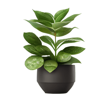 Beautiful plants in ceramic pots . png