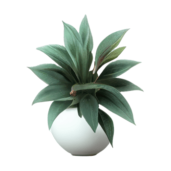 Beautiful plants in ceramic pots . png