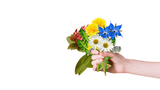 Beautiful Flowers In hand png high quality