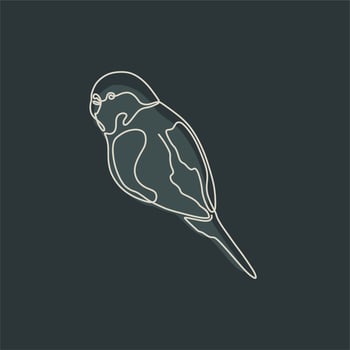 animal vintage line art with dark background vector
