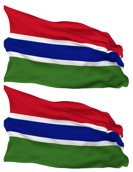 The Gambia Flag Waves Isolated in Plain and Bump Texture, with Transparent Background, 3D Rendering png