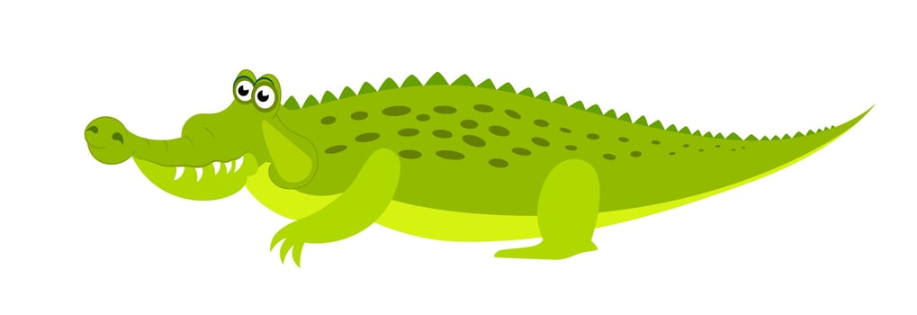 Friendly cute green crocodile character. Aligator flat vector cartoon illustration. Funny wild animal isolated on white background