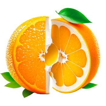 ripe half of orange png