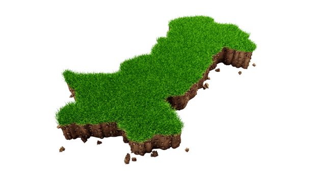 Detailed Pakistan Map Grass and ground texture 3d illustration png
