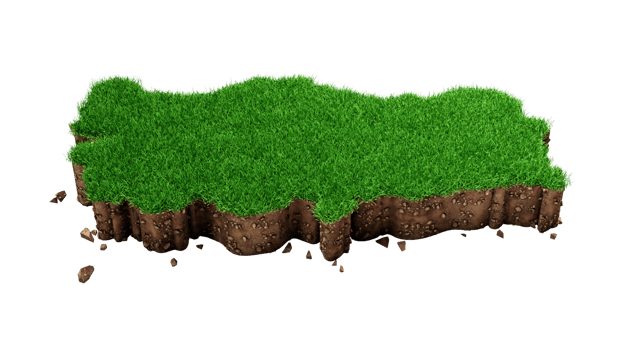 Detailed Turkey Map with green Grass 3d illustration png