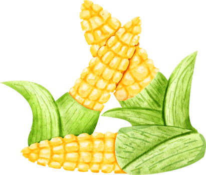 watercolor baby corn png