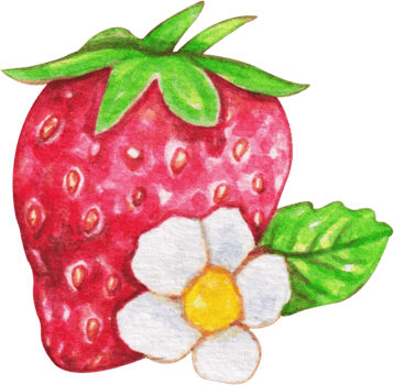 watercolor strawberry clip art png