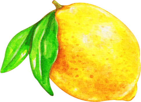 watercolor lemon clip art png