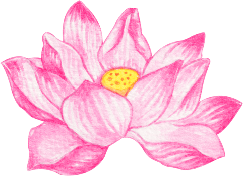 watercolor lotus flower png