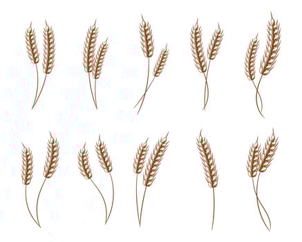Set of logos from spikelets of wheat, rye, barley, golden design. Decor elements, icons, vector