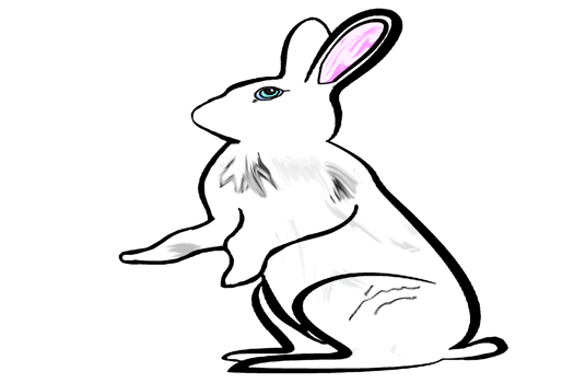 Icon cute bunny rabbit png