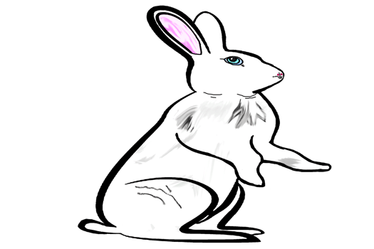 Icon cute bunny rabbit png