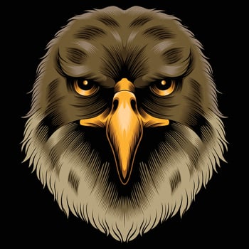 Cat hawk illustration vector