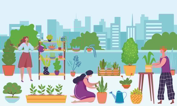 Urban gardening, people growing and watering plants outside vector