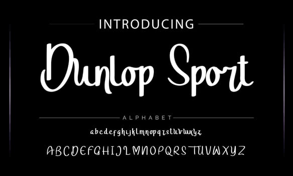 Luxury alphabet letters font. Typography elegant wedding classic lettering serif fonts decorative vintage retro concept. vector illustration