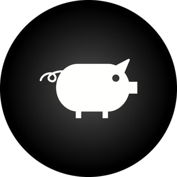 piggy Vector Icon