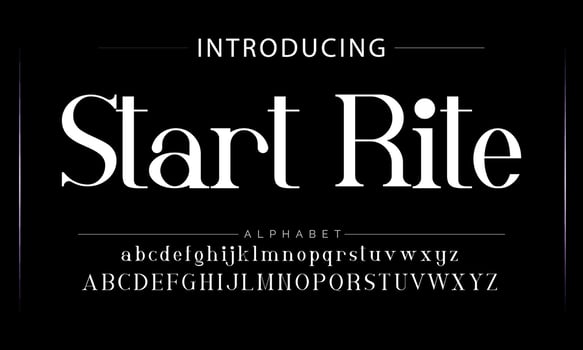 Luxury alphabet letters font. Typography elegant wedding classic lettering serif fonts decorative vintage retro concept. vector illustration