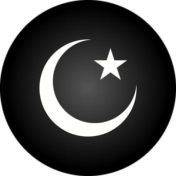 Moon and Star Vector Icon