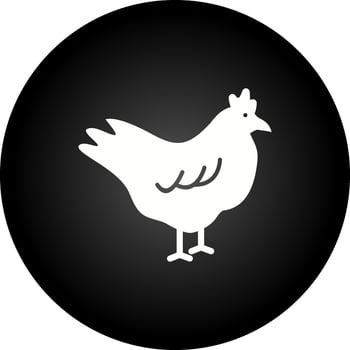hen Vector Icon Set