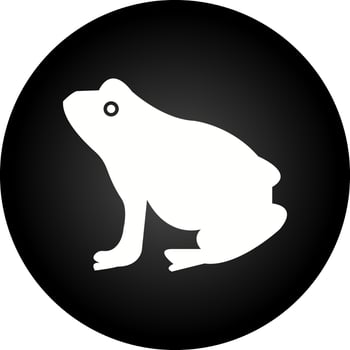 Frog Vector Icon