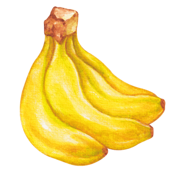 watercolor banana fruit png