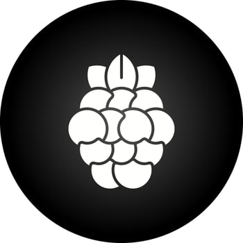 Raspberry Vector Icon