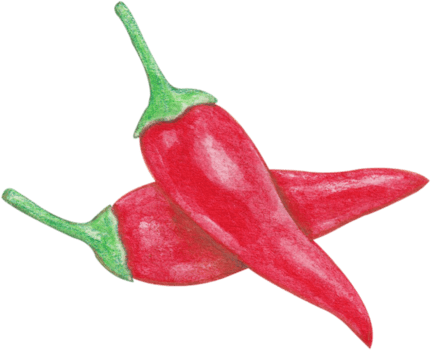 watercolor chilli vegetable png
