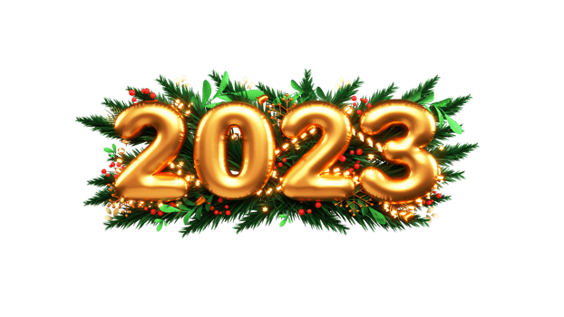 3D Golden Balloon, Fir Leaves With Berries And Lighting Garland. png