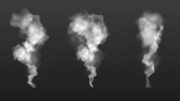 Realistic transparent smoke or exhaust from a chimney. White clouds of steam in the air. Vector illustration