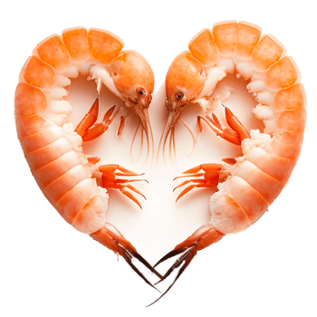 seafood free illustration png