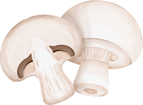 watercolor Champignon clip art png
