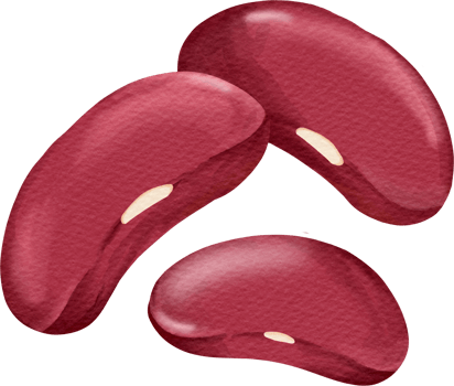 Red bean clip art png