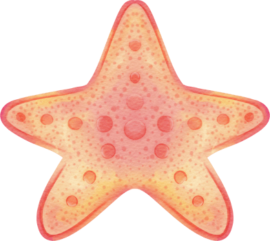 watercolor starfish clip art png