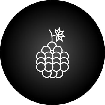 Grapes Vector Icon