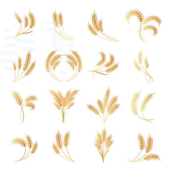 Set of logos from spikelets of wheat, rye, barley, golden design. Decor elements, icons, vector
