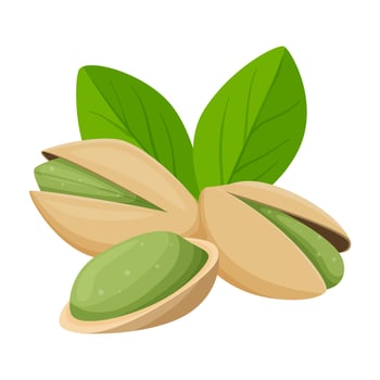Pistachio nuts in a shell with leaves. Healthy food, an ingredient. Flat, cartoon style. Color vector illustration isolated on a white background.