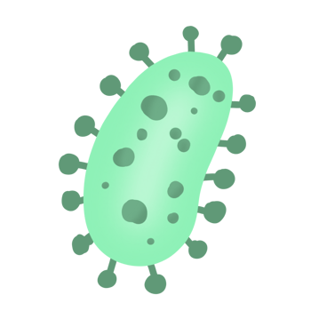 Bacteria  Disease cartoon png