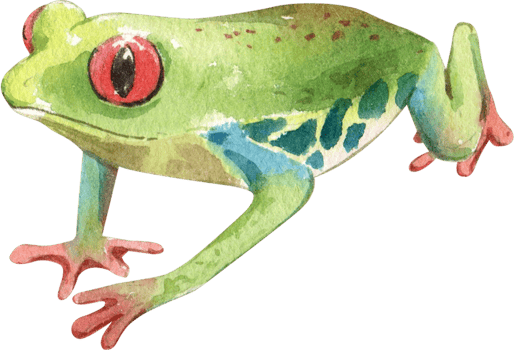 Cartoon amphibians and reptiles watercolor clipart png