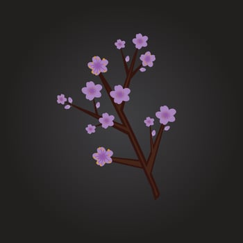 cherry flower tree vector