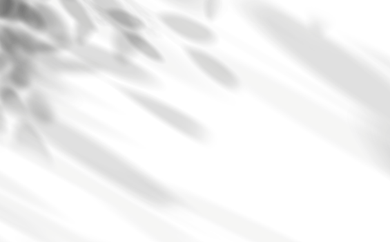Leaves Shadow, Branches Tree Leaf overlay with Sunbeams png