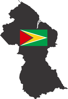 Guyana flag pin map location png