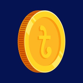 Taka Bangladesh Gold Coin Money Illustration vector