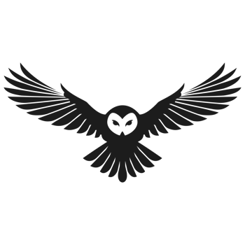 owl png image