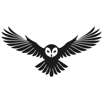owl png image